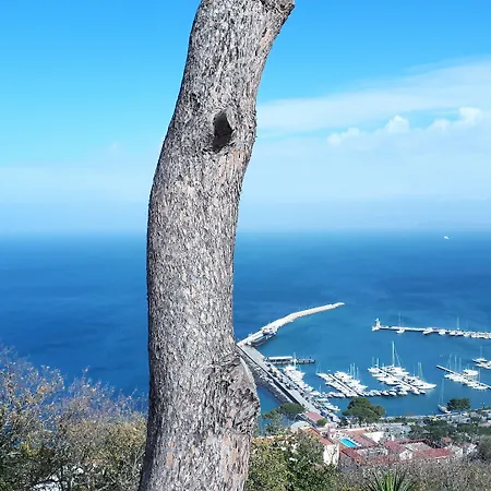 ホテル Paradise Relais Janto' カザミッチョラ・テルメ