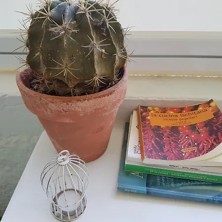 Paradise Relais Janto' ホテル