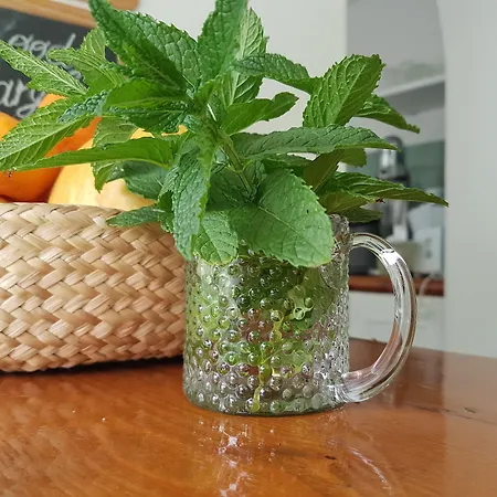 Paradise Relais Janto' 카사밋쵸라테르메