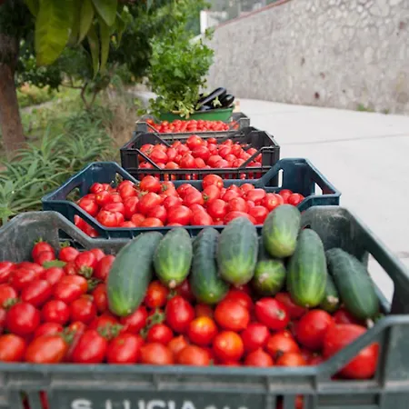 호텔 Paradise Relais Janto'